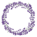 Beautiful lavander vector-1 Beautiful lavander vector-1
