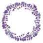 Beautiful lavander vector-1 Beautiful lavander vector-1